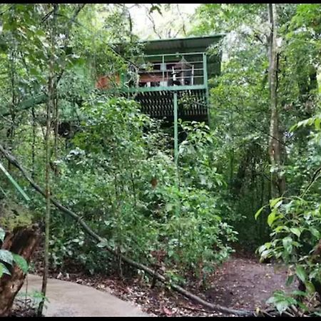 Jungle Living Tree Houses Monteverde Zewnętrze zdjęcie
