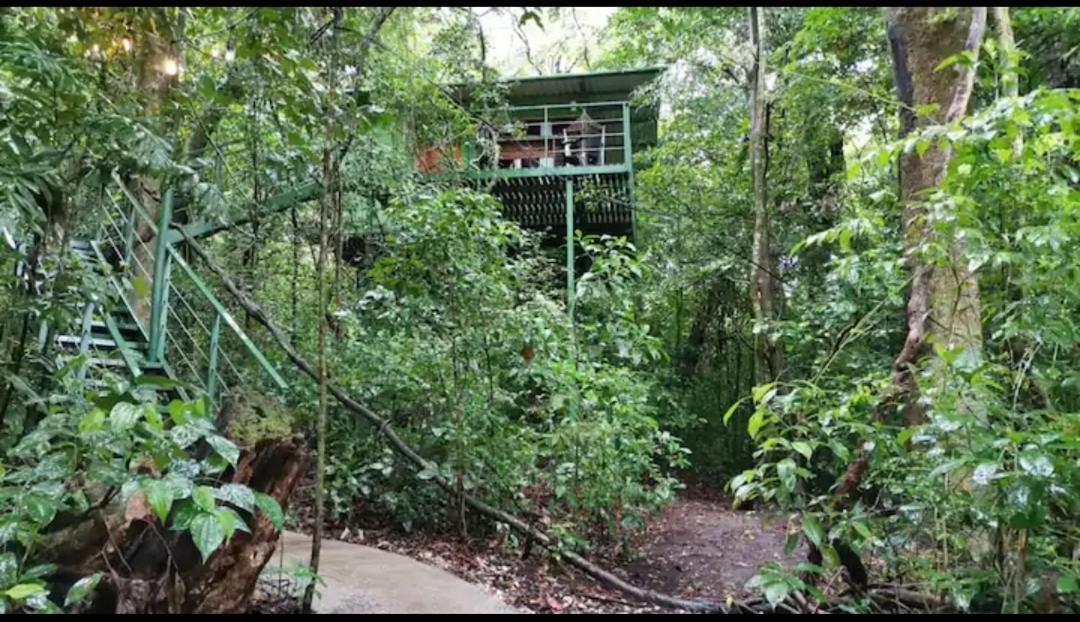 Jungle Living Tree Houses Monteverde Zewnętrze zdjęcie