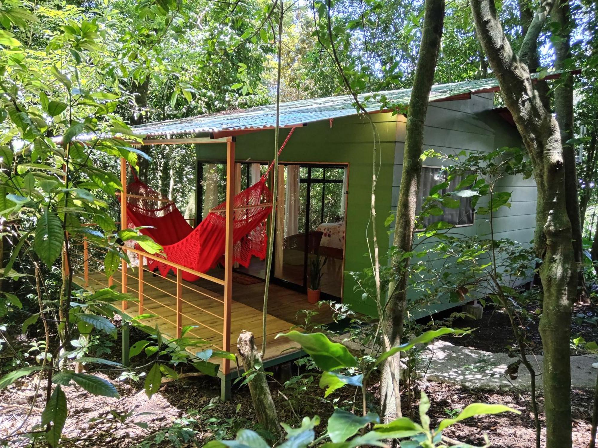 Jungle Living Tree Houses Monteverde Zewnętrze zdjęcie