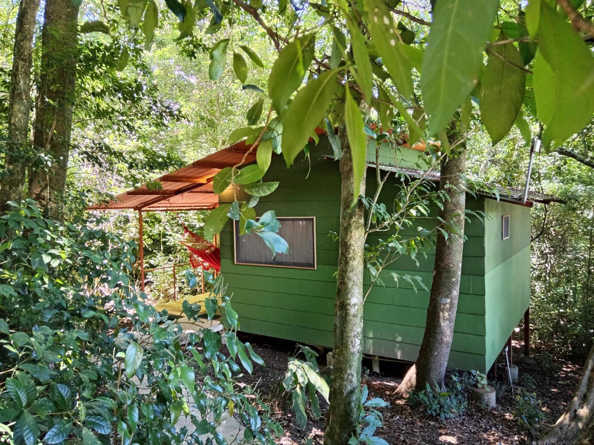 Jungle Living Tree Houses Monteverde Zewnętrze zdjęcie