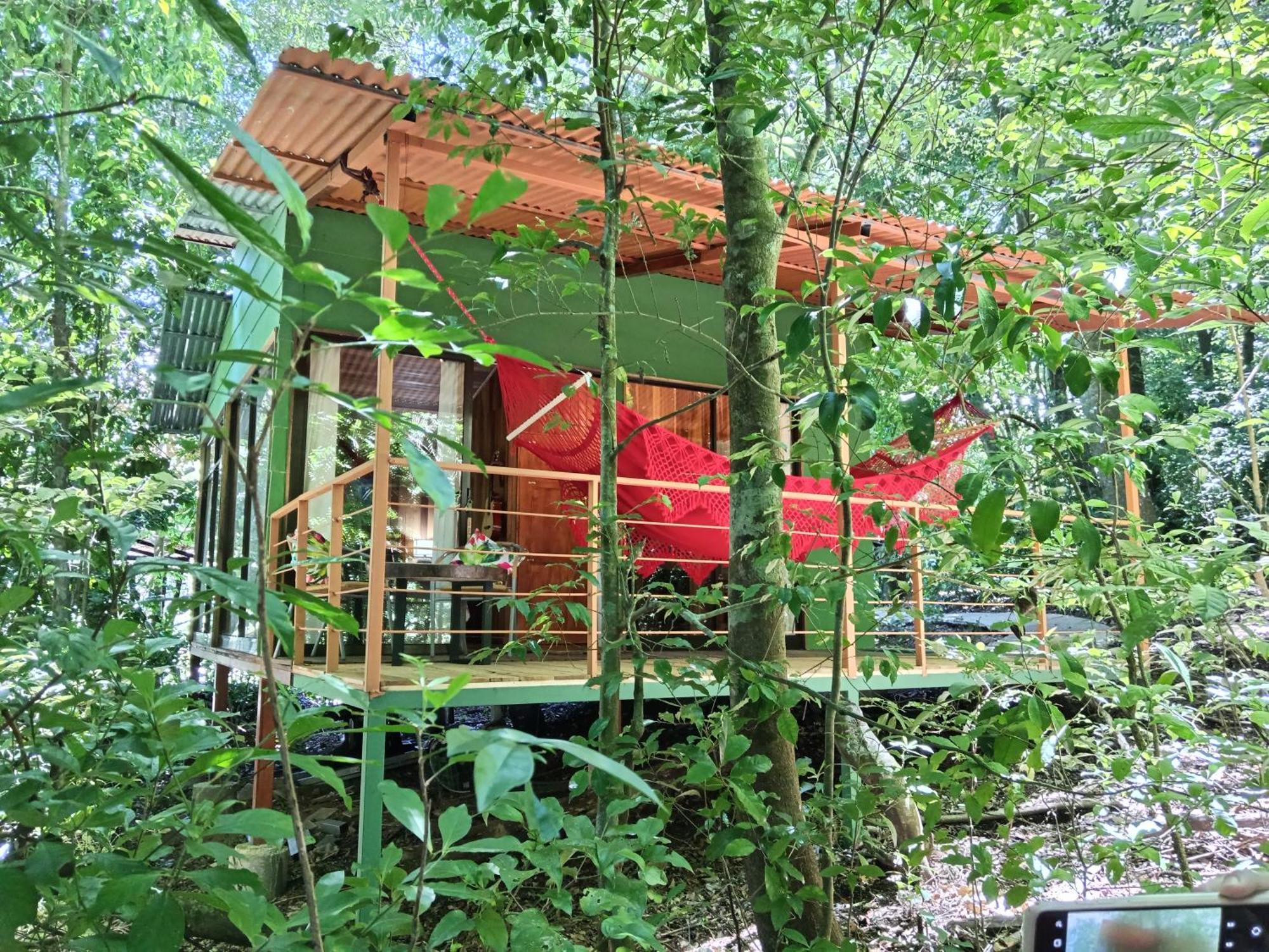 Jungle Living Tree Houses Monteverde Zewnętrze zdjęcie