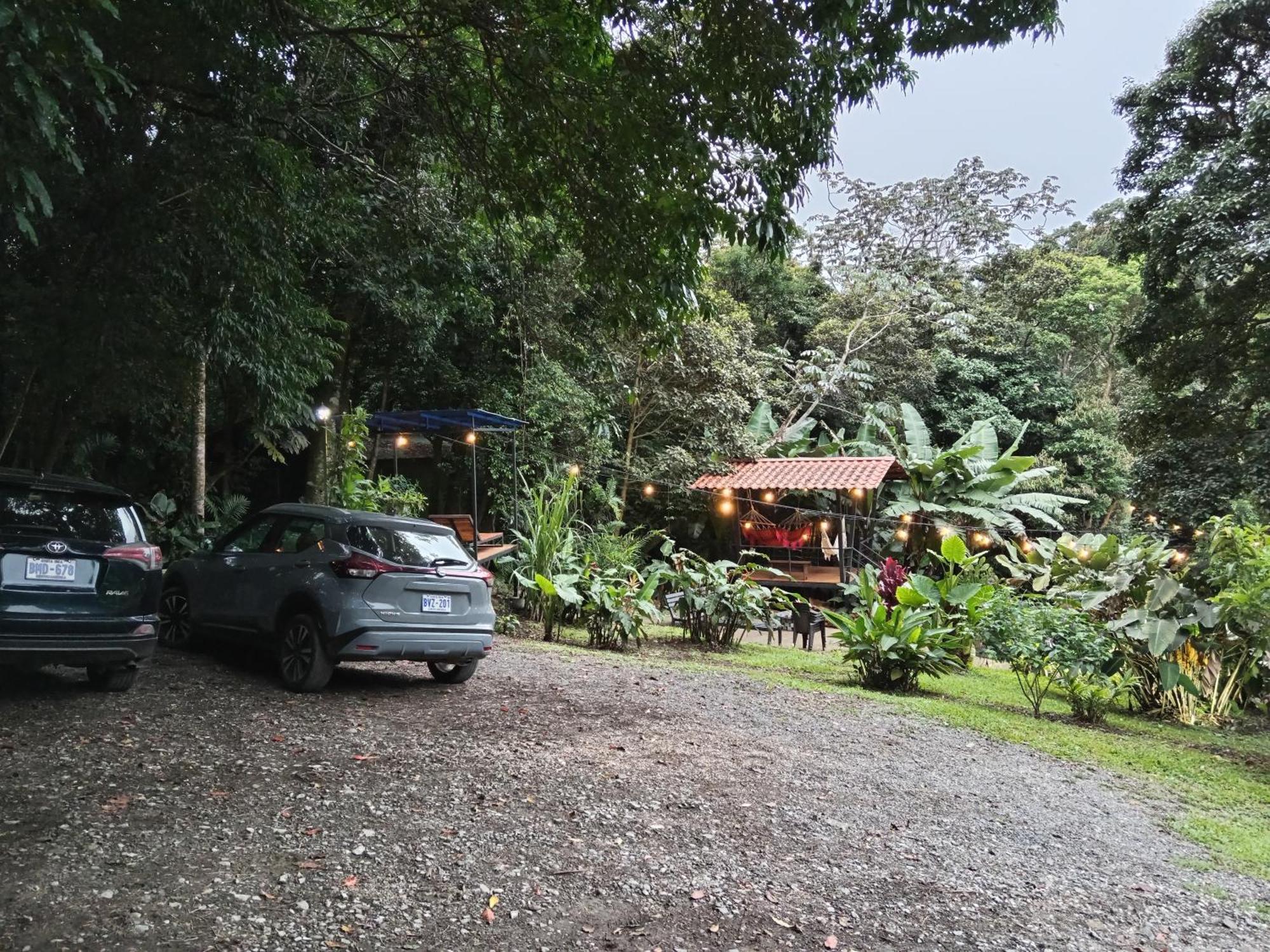 Jungle Living Tree Houses Monteverde Zewnętrze zdjęcie