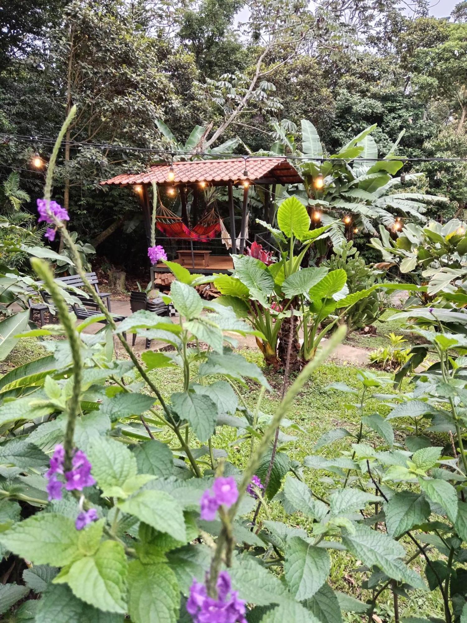 Jungle Living Tree Houses Monteverde Zewnętrze zdjęcie