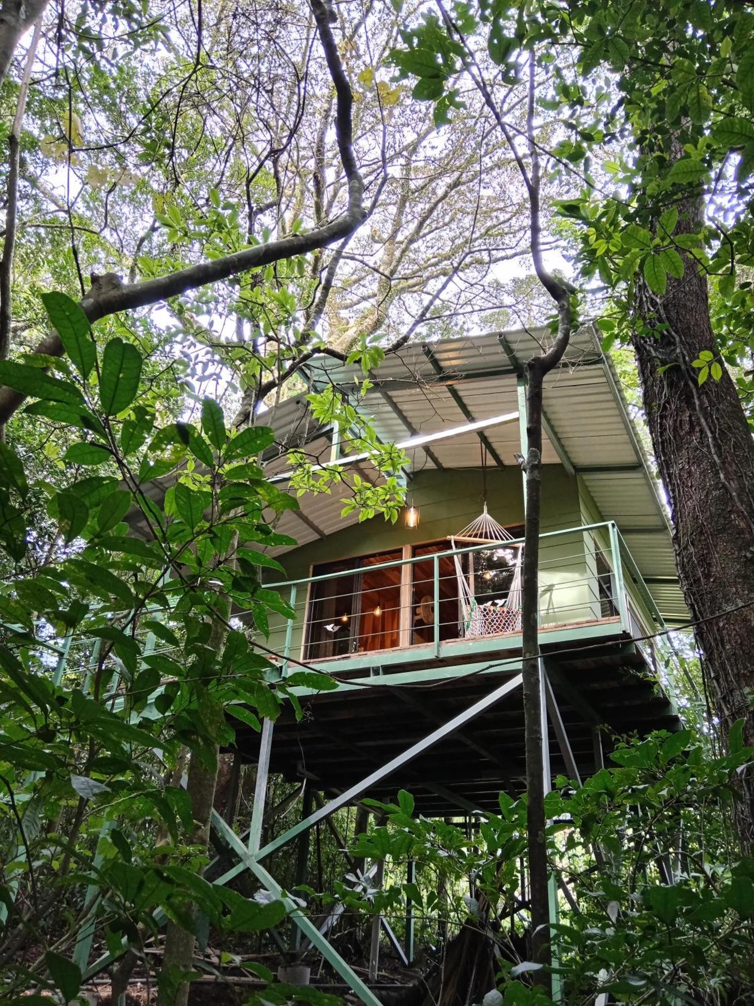 Jungle Living Tree Houses Monteverde Zewnętrze zdjęcie