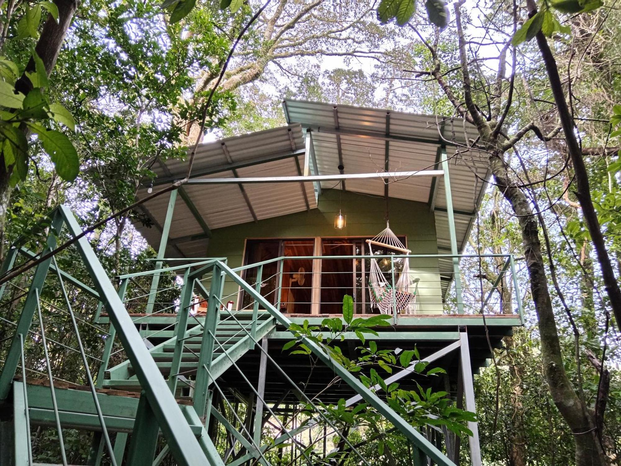 Jungle Living Tree Houses Monteverde Zewnętrze zdjęcie