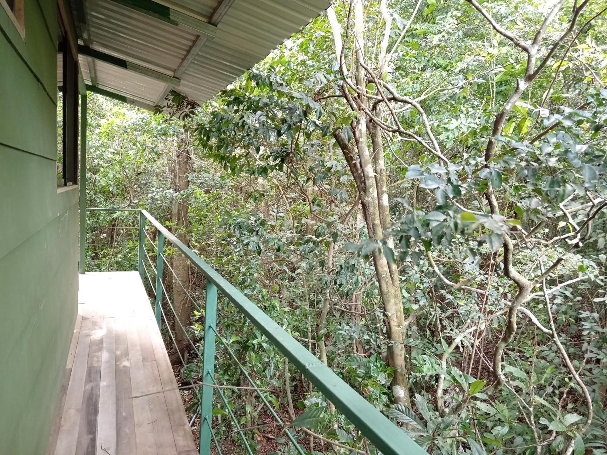 Jungle Living Tree Houses Monteverde Zewnętrze zdjęcie